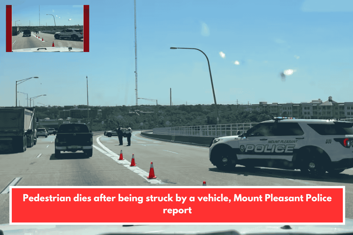 Pedestrian dies after being struck by a vehicle, Mount Pleasant Police report