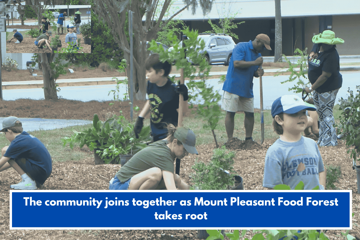 The community joins together as Mount Pleasant Food Forest takes root