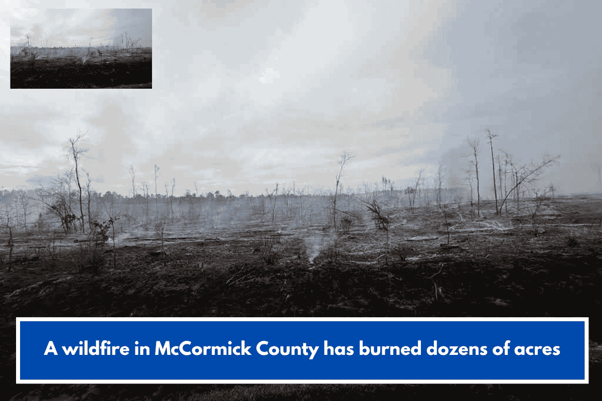 A wildfire in McCormick County has burned dozens of acres