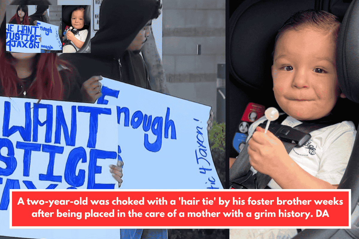 A two-year-old was choked with a 'hair tie' by his foster brother weeks after being placed in the care of a mother with a grim history. DA