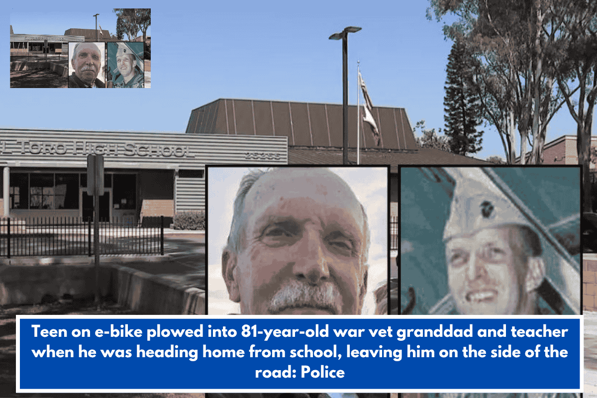 Teen on e-bike plowed into 81-year-old war vet granddad and teacher when he was heading home from school, leaving him on the side of the road: Police