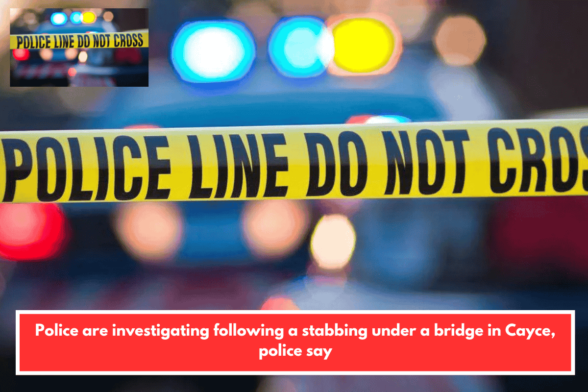 Police are investigating following a stabbing under a bridge in Cayce, police say