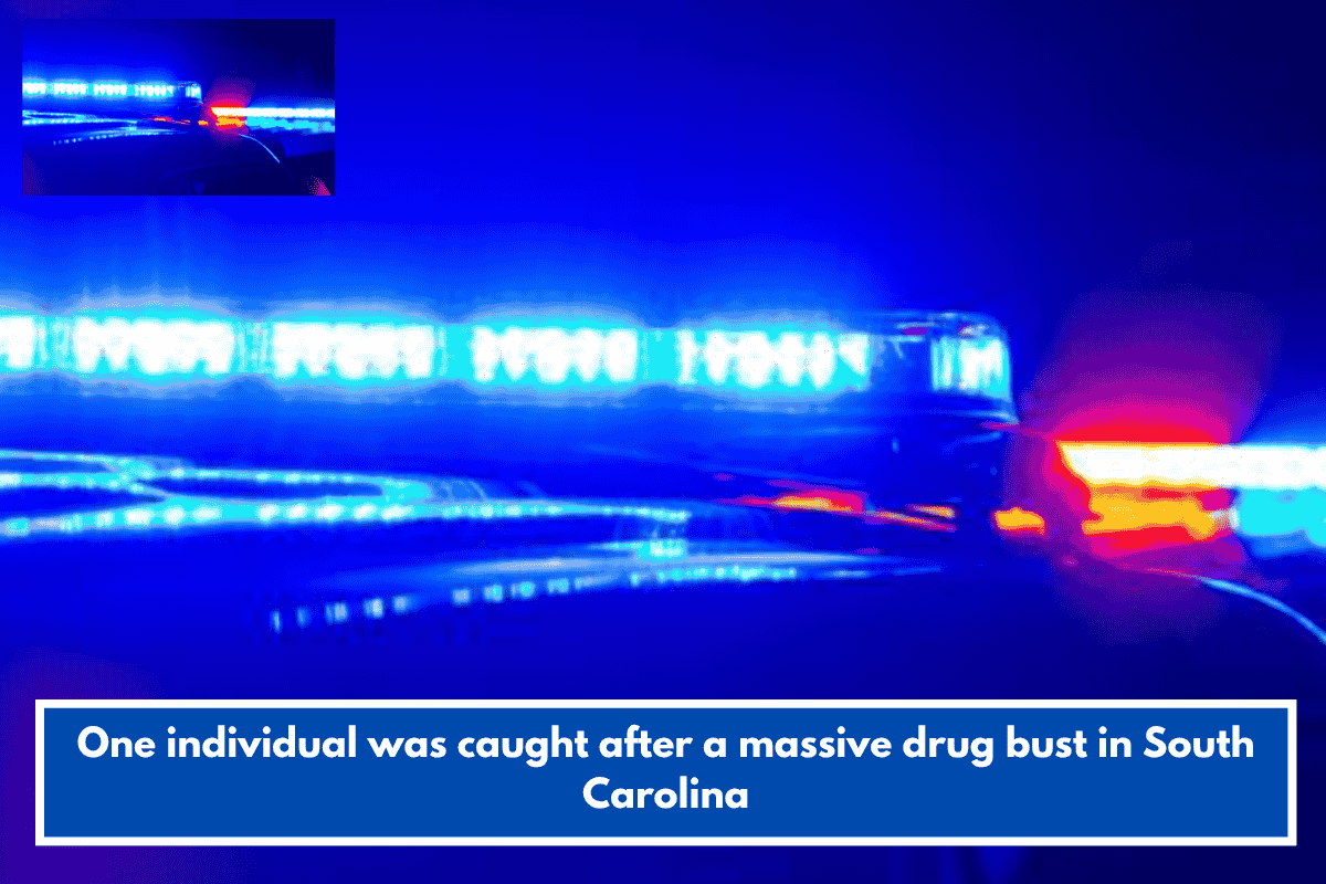 One individual was caught after a massive drug bust in South Carolina