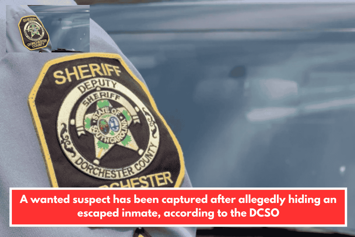 A wanted suspect has been captured after allegedly hiding an escaped inmate, according to the DCSO
