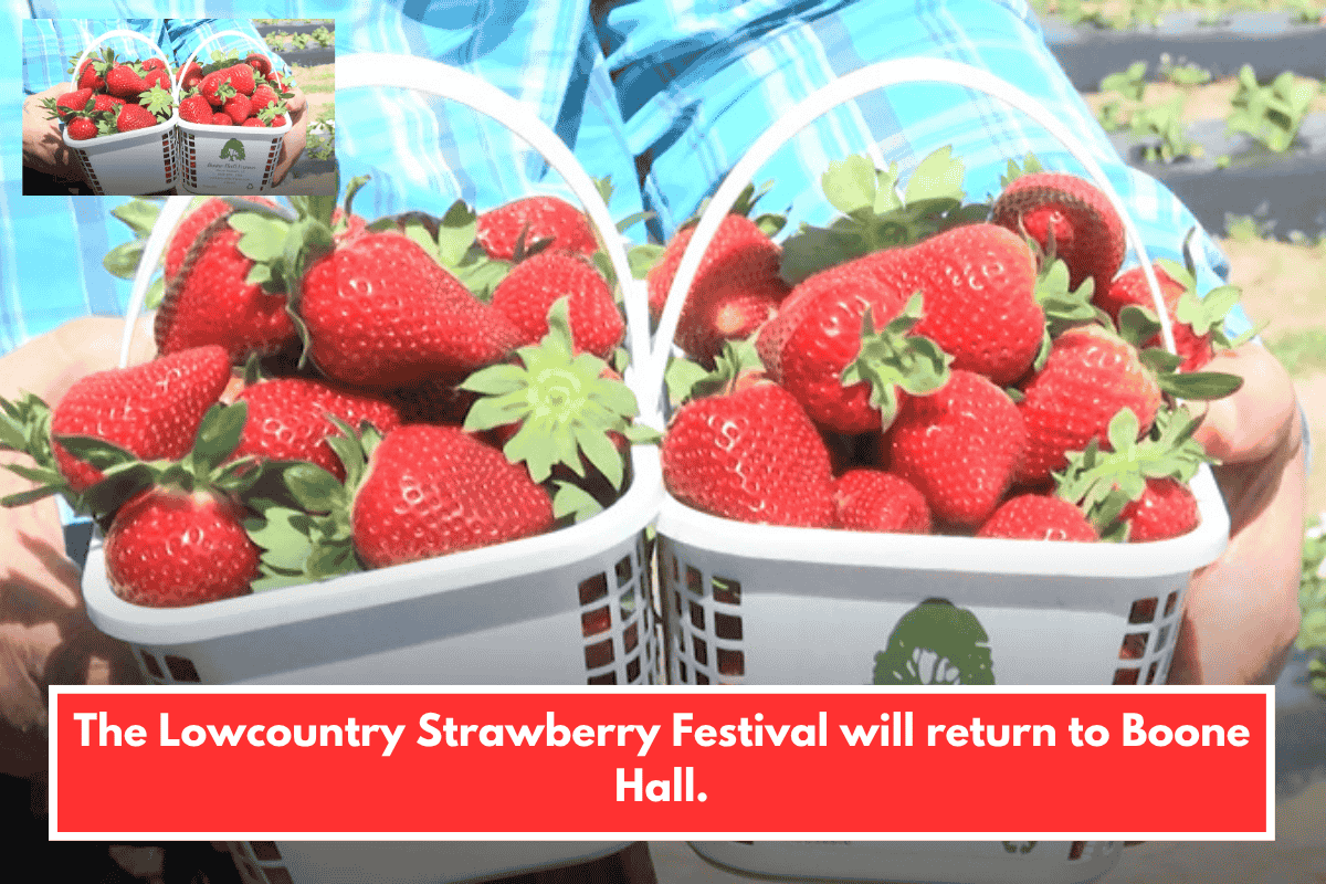 The Lowcountry Strawberry Festival will return to Boone Hall.