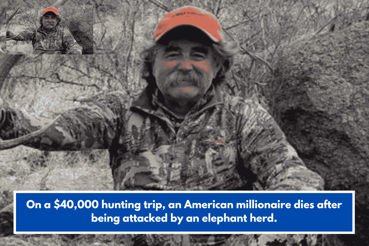 On a $40,000 hunting trip, an American millionaire dies after being attacked by an elephant herd.