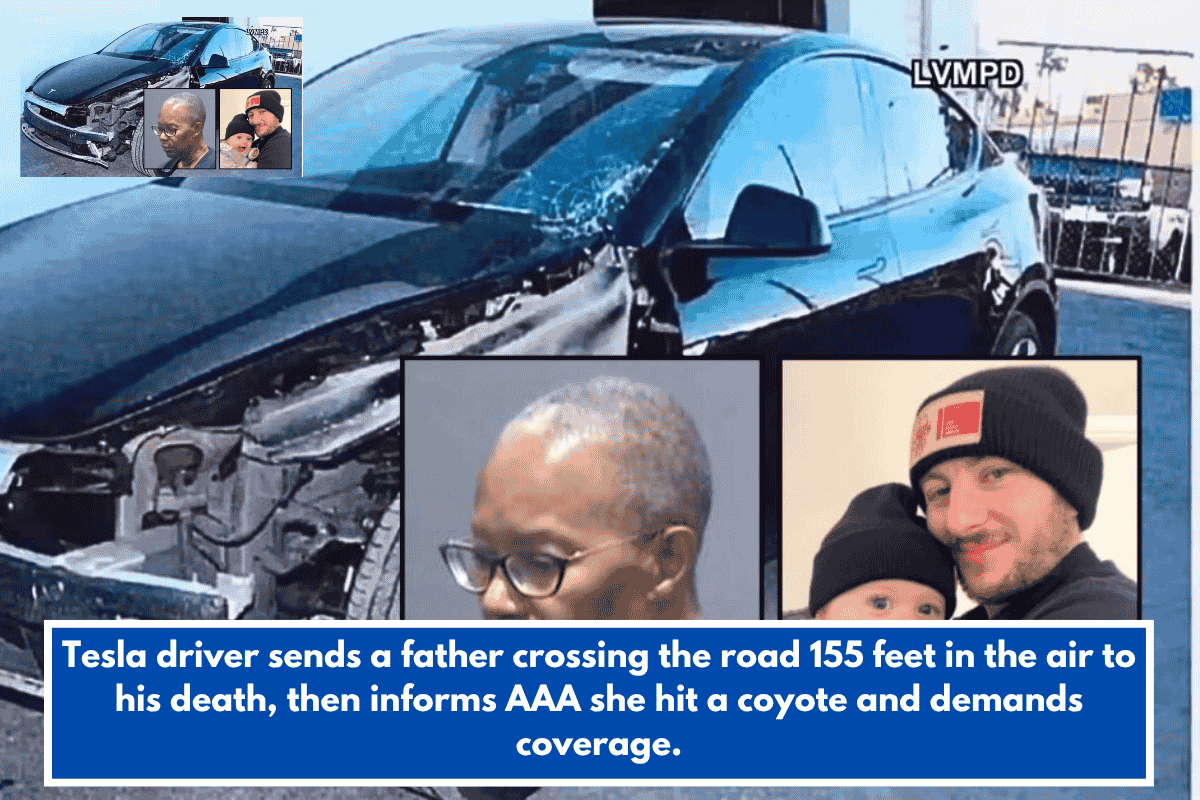 Tesla driver sends a father crossing the road 155 feet in the air to his death, then informs AAA she hit a coyote and demands coverage.