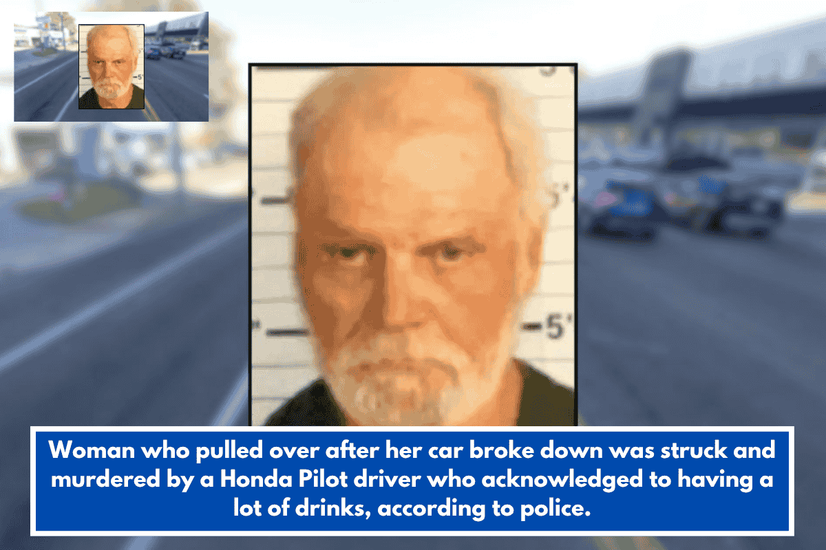 Woman who pulled over after her car broke down was struck and murdered by a Honda Pilot driver who acknowledged to having a lot of drinks, according to police.
