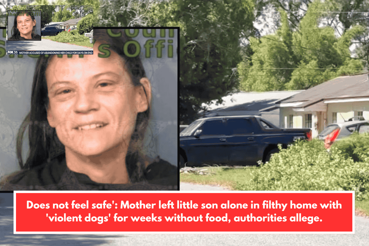 Does not feel safe': Mother left little son alone in filthy home with 'violent dogs' for weeks without food, authorities allege.