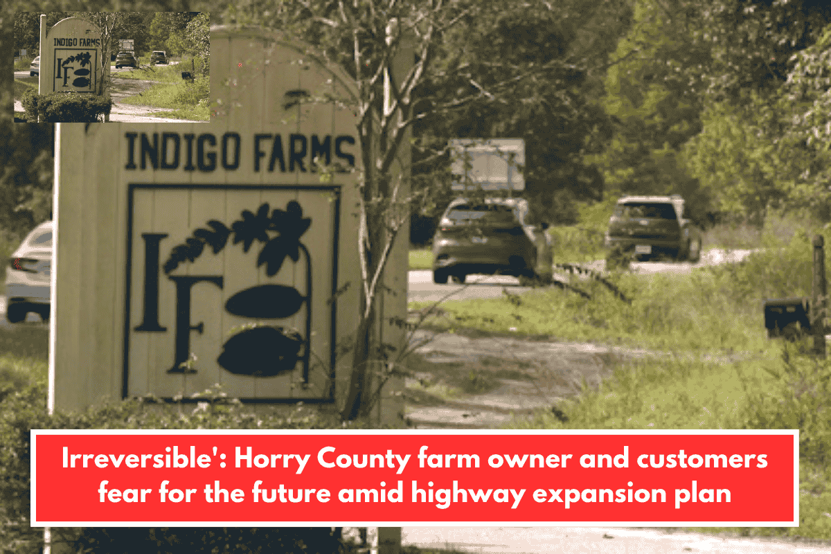 Irreversible': Horry County farm owner and customers fear for the future amid highway expansion plan