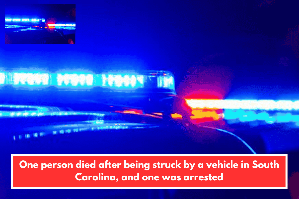 One person died after being struck by a vehicle in South Carolina, and one was arrested
