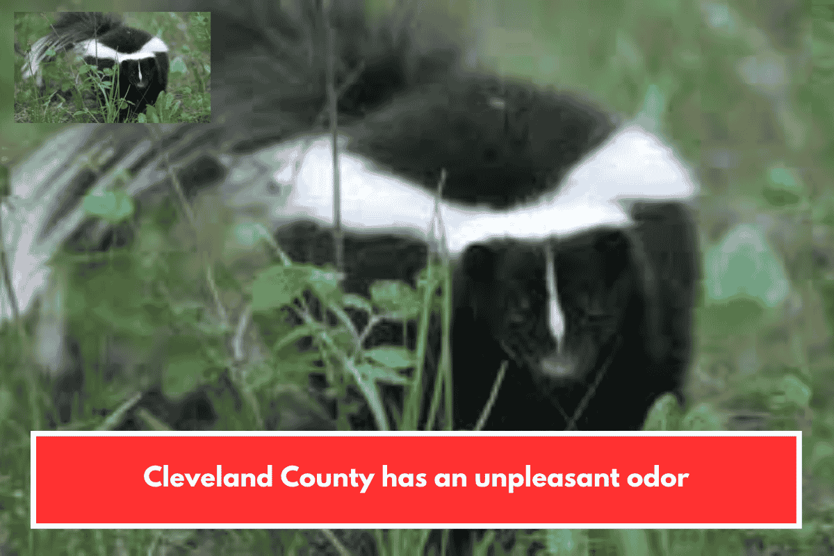 Cleveland County has an unpleasant odor