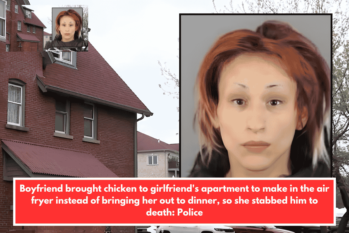 Boyfriend brought chicken to girlfriend's apartment to make in the air fryer instead of bringing her out to dinner, so she stabbed him to death: Police