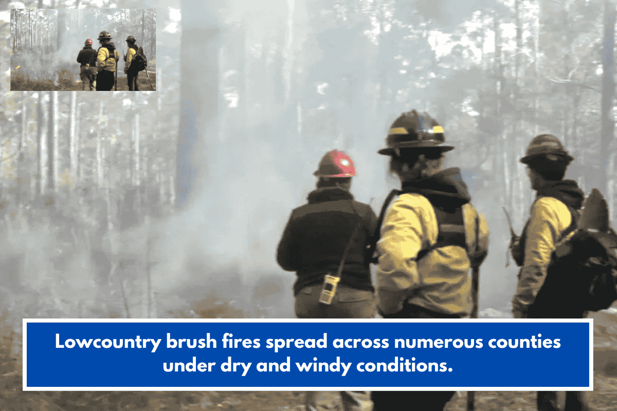 Lowcountry brush fires spread across numerous counties under dry and windy conditions.