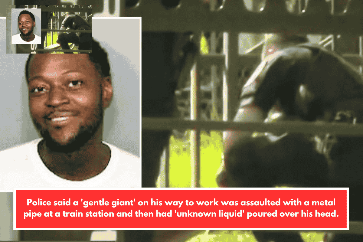 Police said a 'gentle giant' on his way to work was assaulted with a metal pipe at a train station and then had 'unknown liquid' poured over his head.