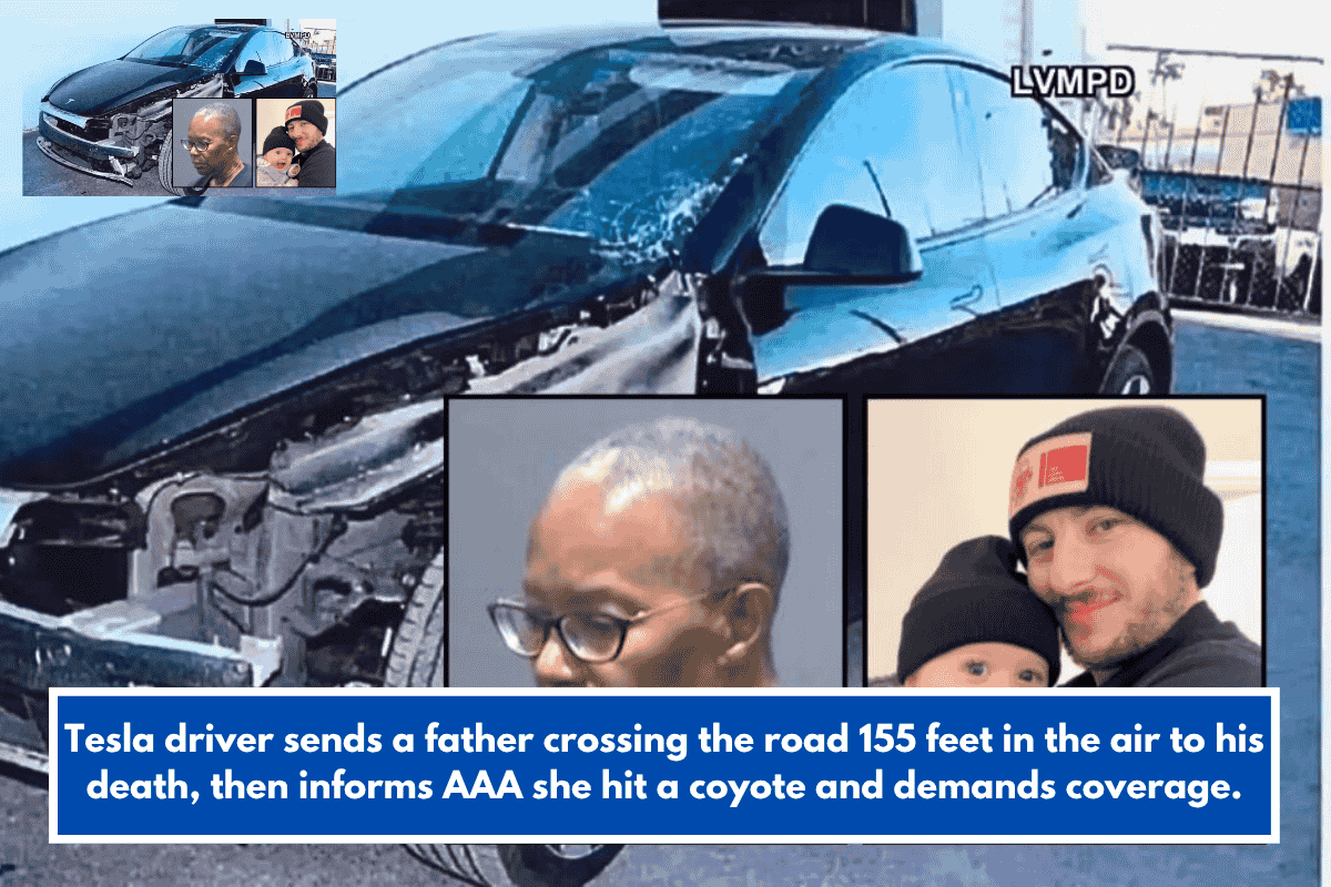 Tesla driver sends a father crossing the road 155 feet in the air to his death, then informs AAA she hit a coyote and demands coverage.