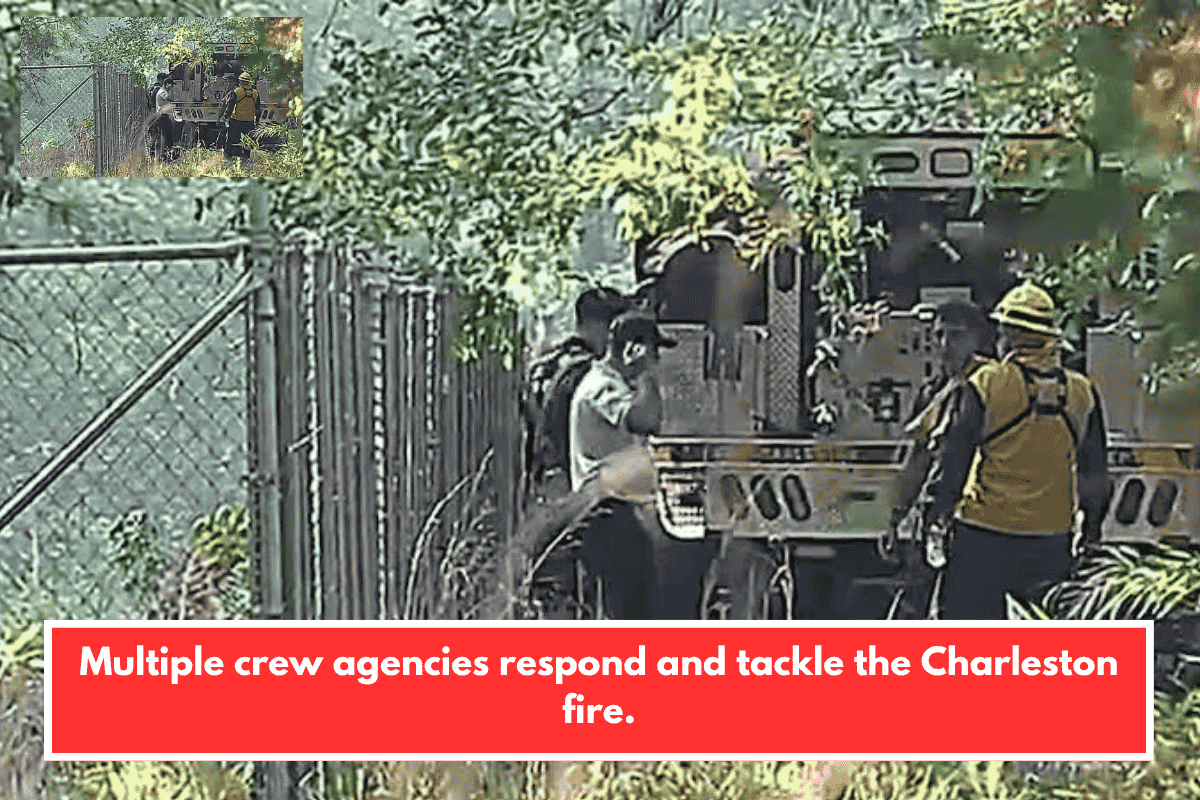 Multiple crew agencies respond and tackle the Charleston fire.