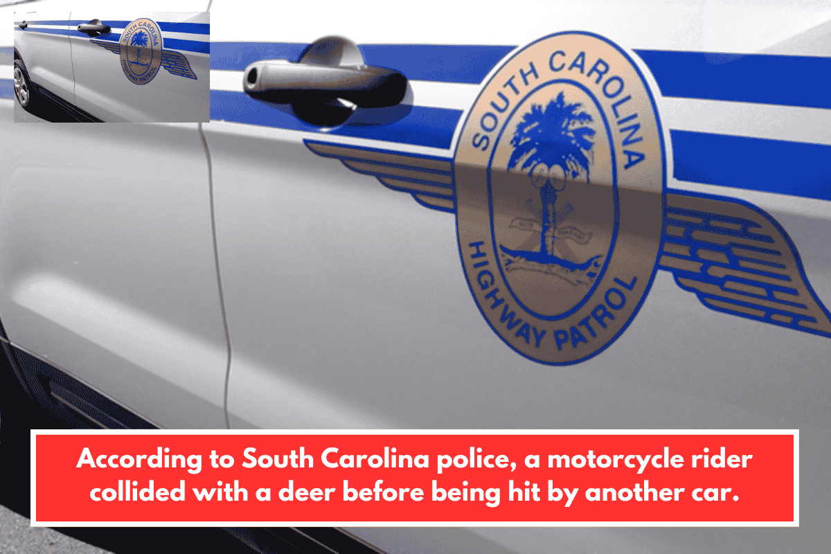 According to South Carolina police, a motorcycle rider collided with a deer before being hit by another car.