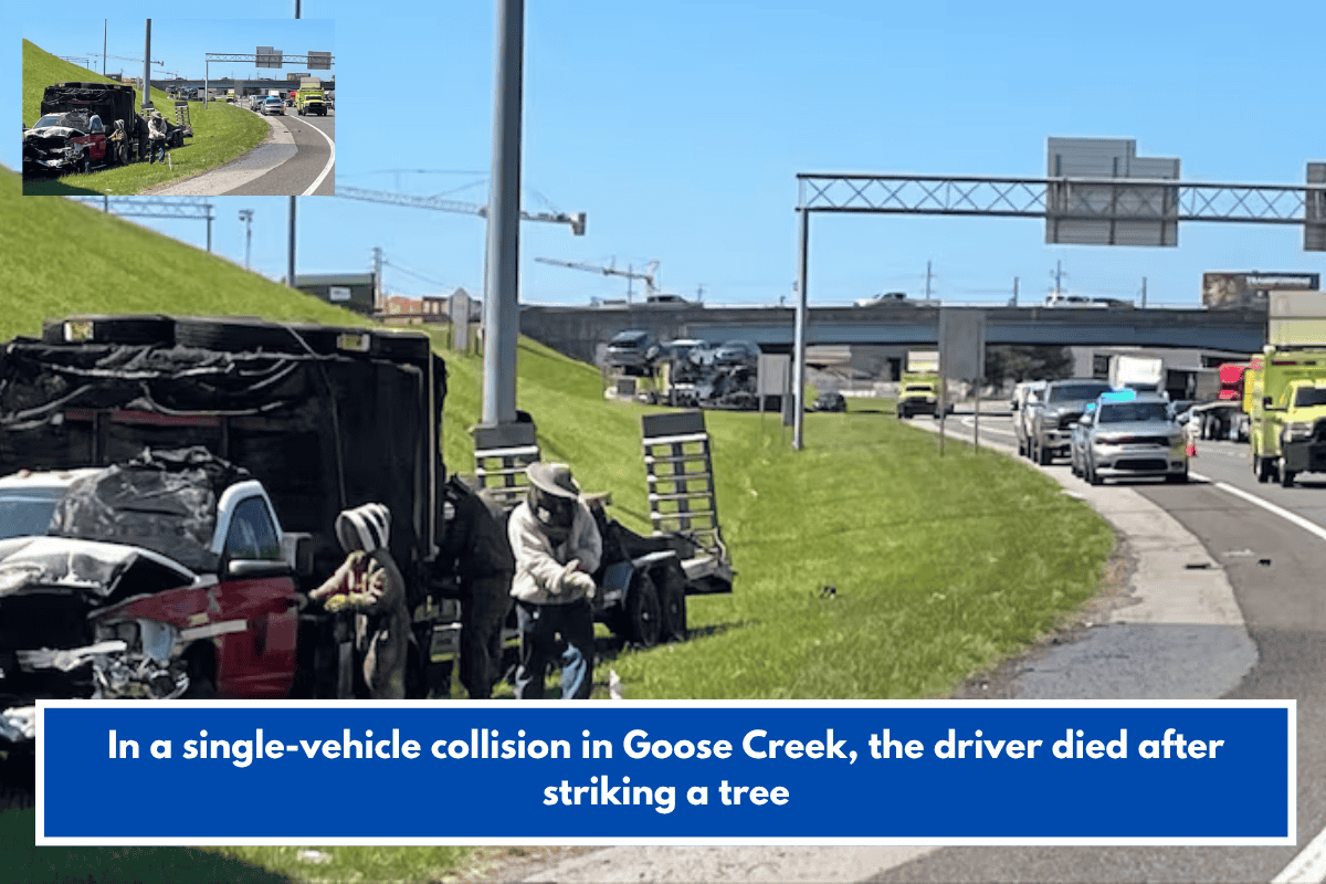 In a single-vehicle collision in Goose Creek, the driver died after striking a tree