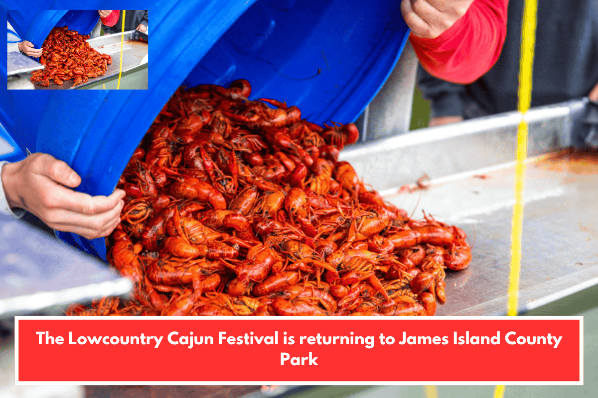 The Lowcountry Cajun Festival is returning to James Island County Park
