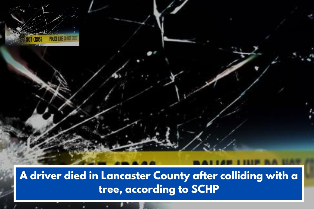A driver died in Lancaster County after colliding with a tree, according to SCHP