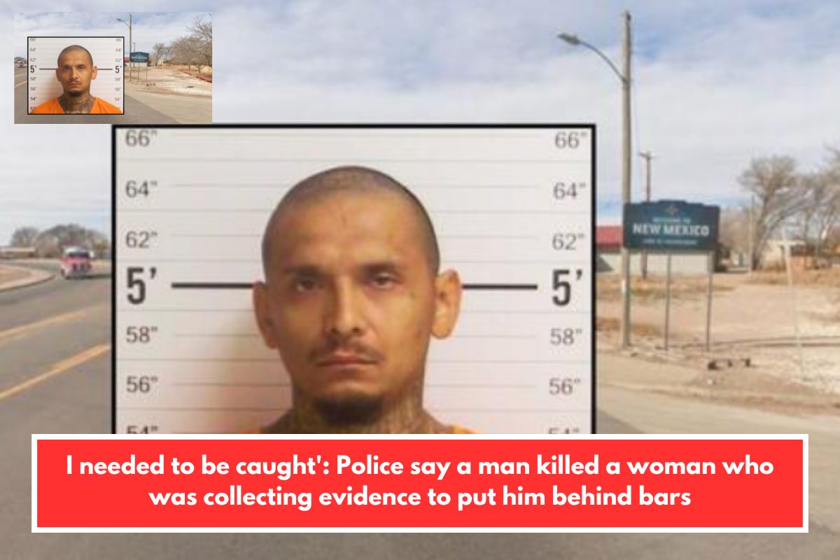 I needed to be caught': Police say a man killed a woman who was collecting evidence to put him behind bars