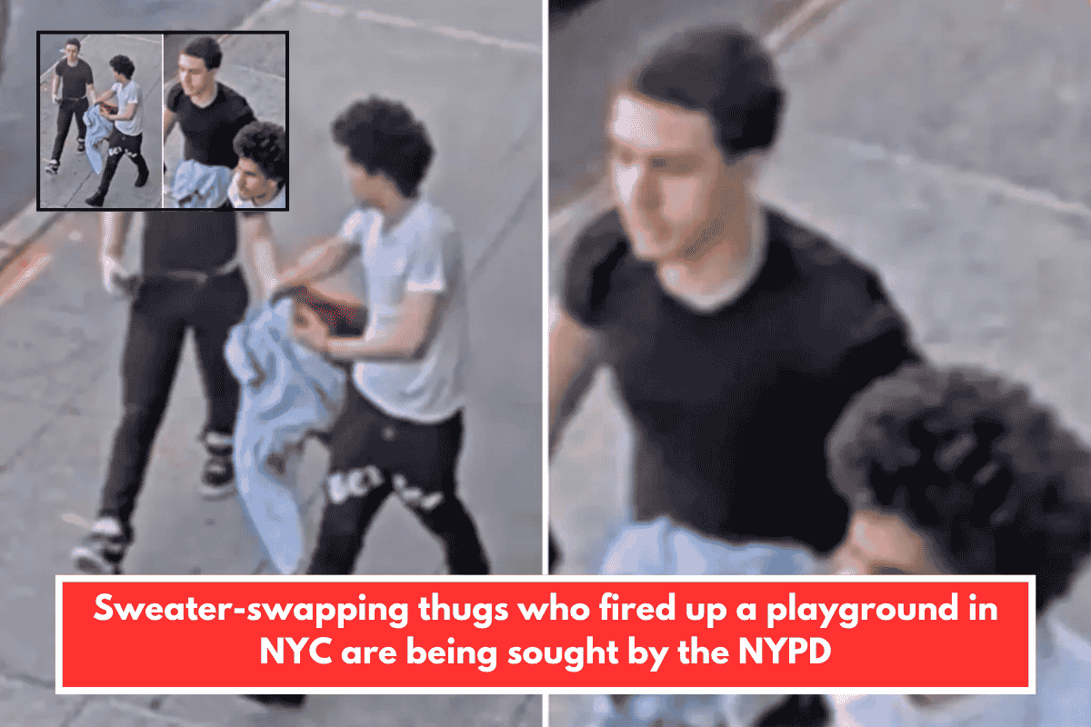 Sweater-swapping thugs who fired up a playground in NYC are being sought by the NYPD