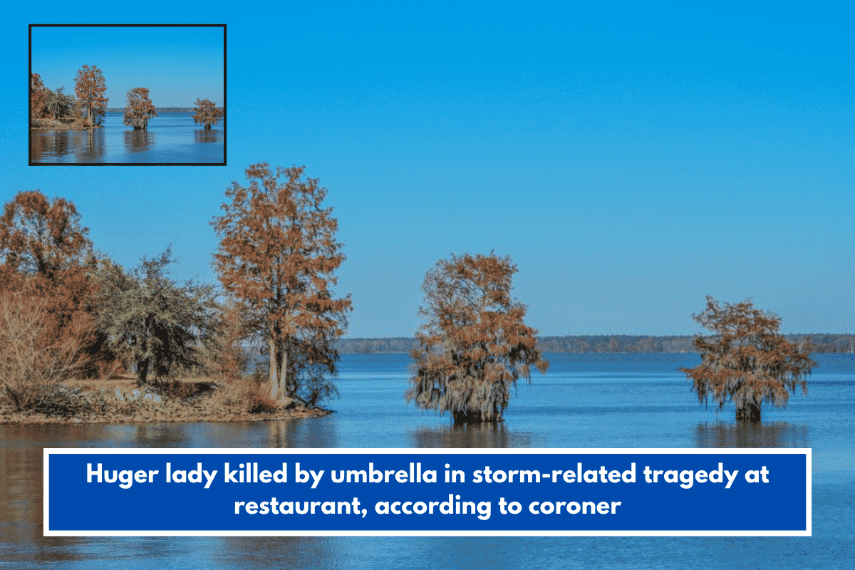 Huger lady killed by umbrella in storm-related tragedy at restaurant, according to coroner