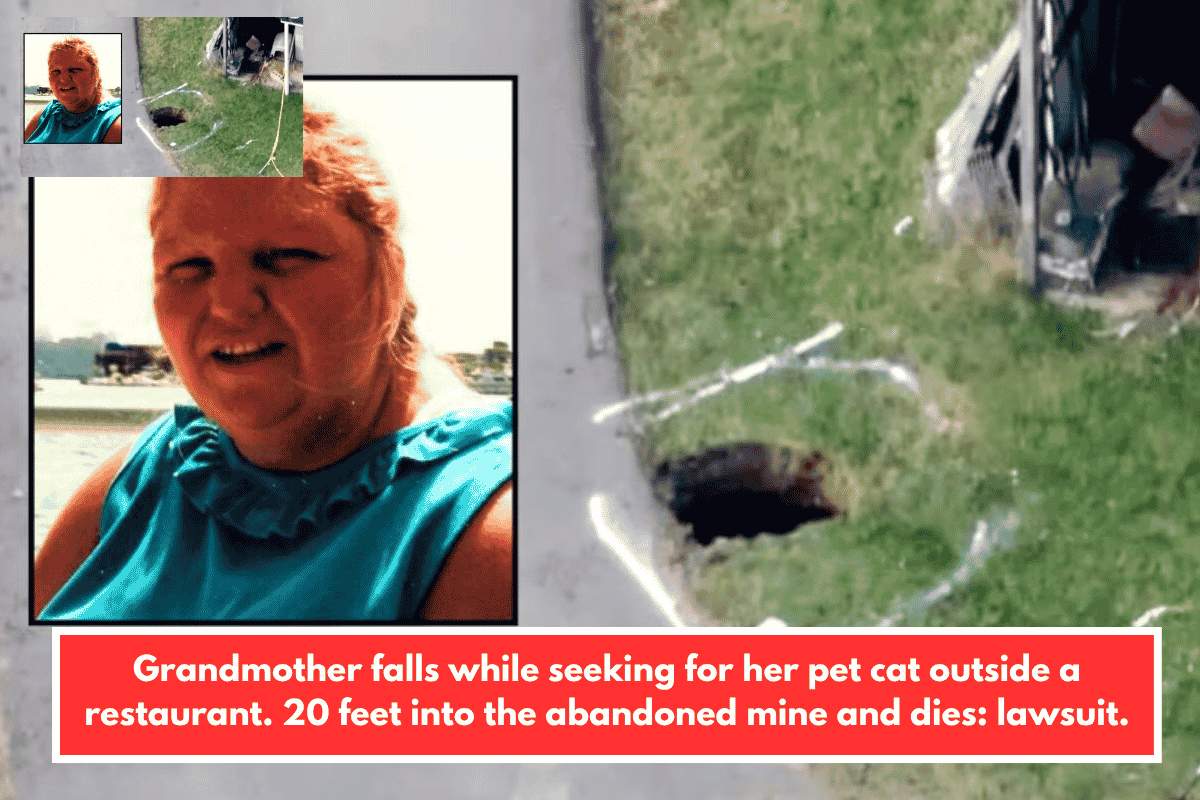 Grandmother falls while seeking for her pet cat outside a restaurant. 20 feet into the abandoned mine and dies: lawsuit.