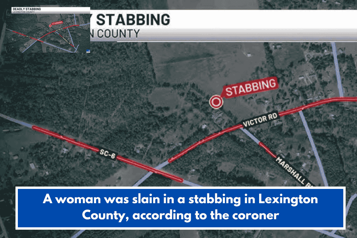 A woman was slain in a stabbing in Lexington County, according to the coroner