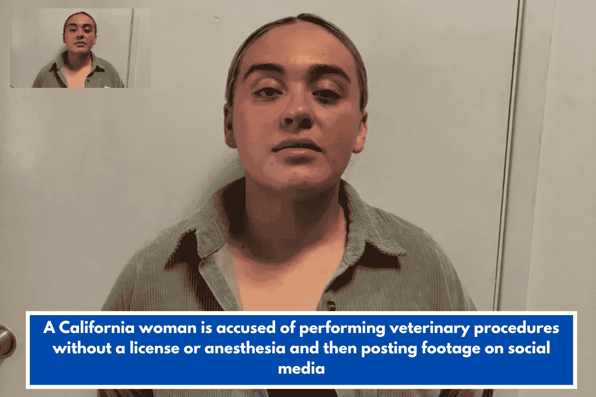 A California woman is accused of performing veterinary procedures without a license or anesthesia and then posting footage on social media