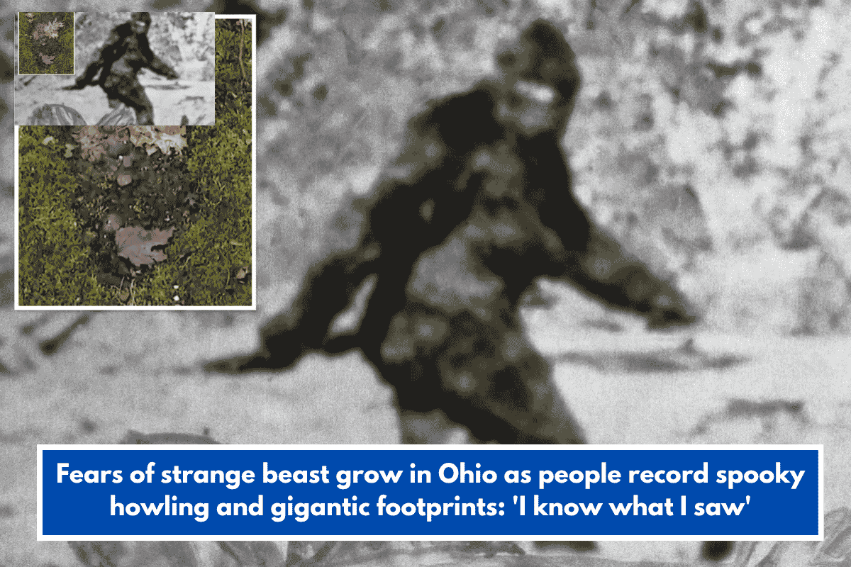 Fears of strange beast grow in Ohio as people record spooky howling and gigantic footprints: 'I know what I saw'