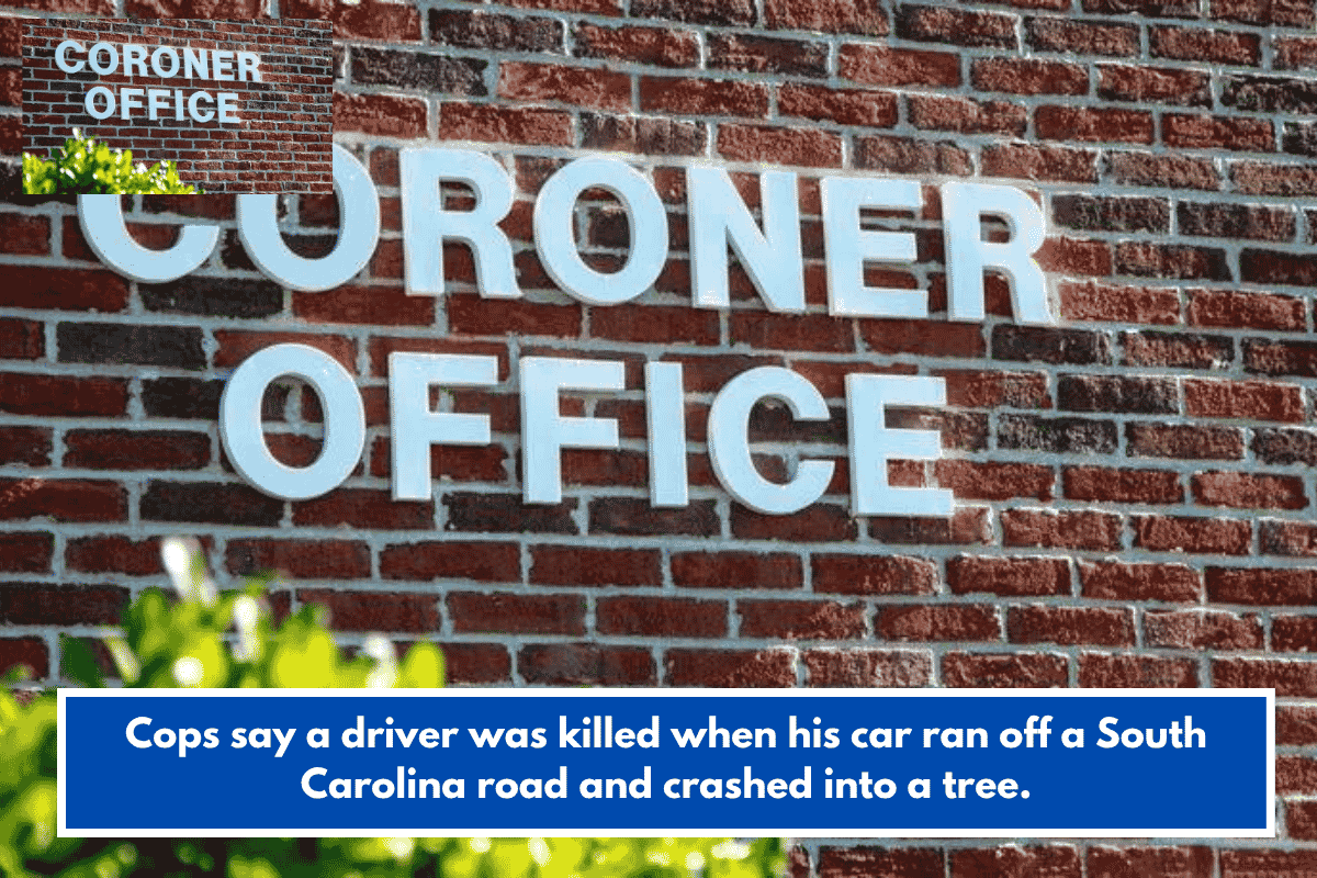Cops say a driver was killed when his car ran off a South Carolina road and crashed into a tree