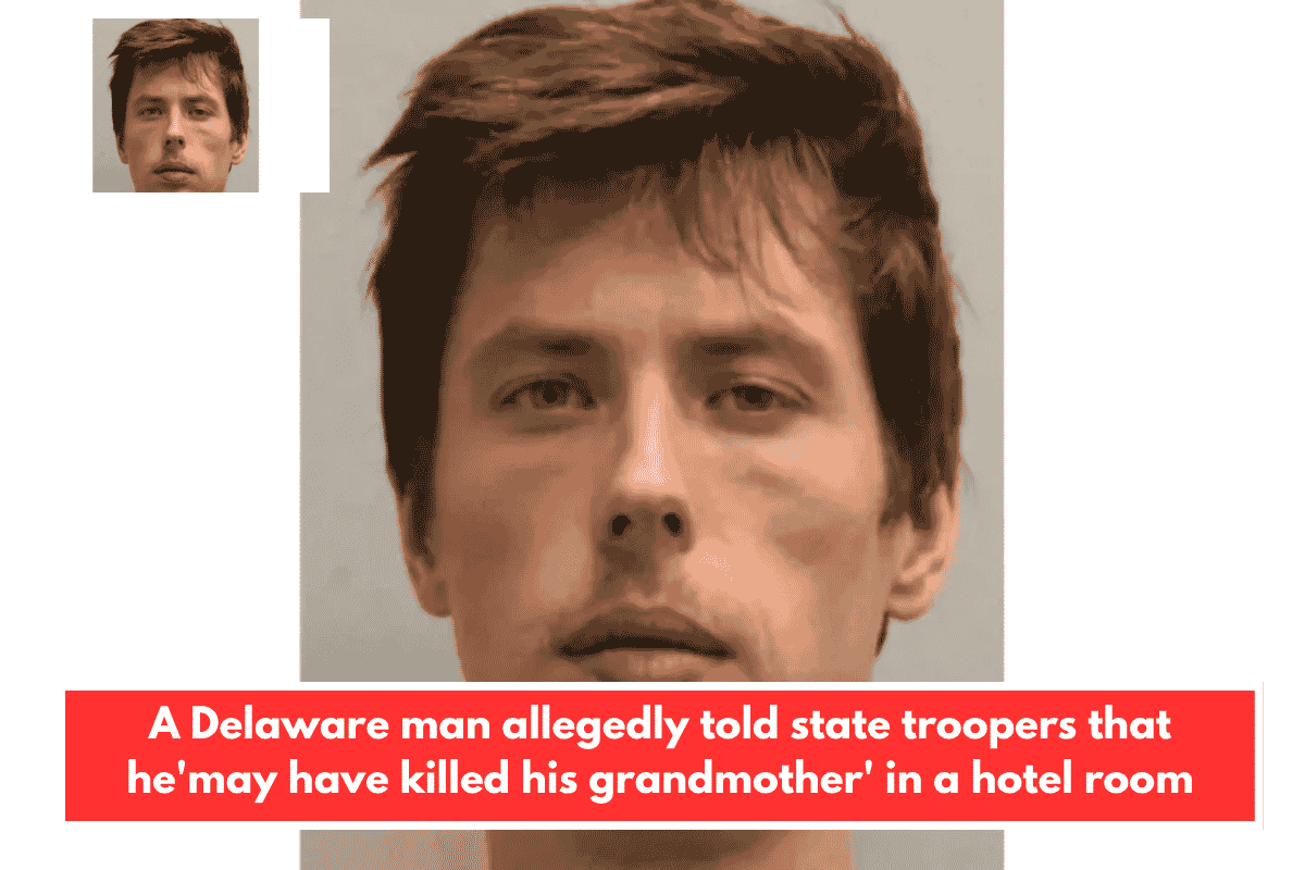 A Delaware man allegedly told state troopers that he'may have killed his grandmother' in a hotel room