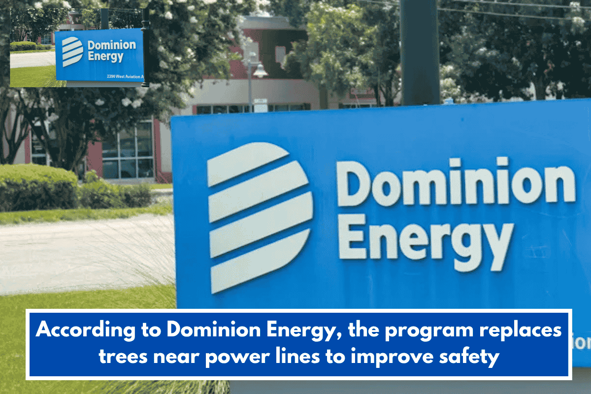 According to Dominion Energy, the program replaces trees near power lines to improve safety