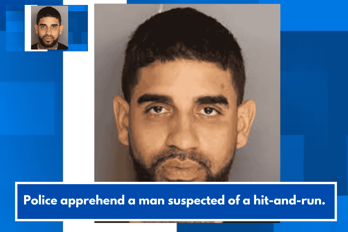 Police apprehend a man suspected of a hit-and-run.