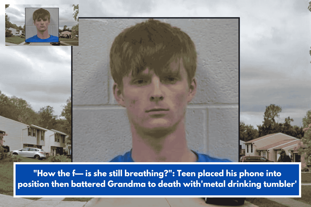 "How the f— is she still breathing?": Teen placed his phone into position then battered Grandma to death with'metal drinking tumbler'