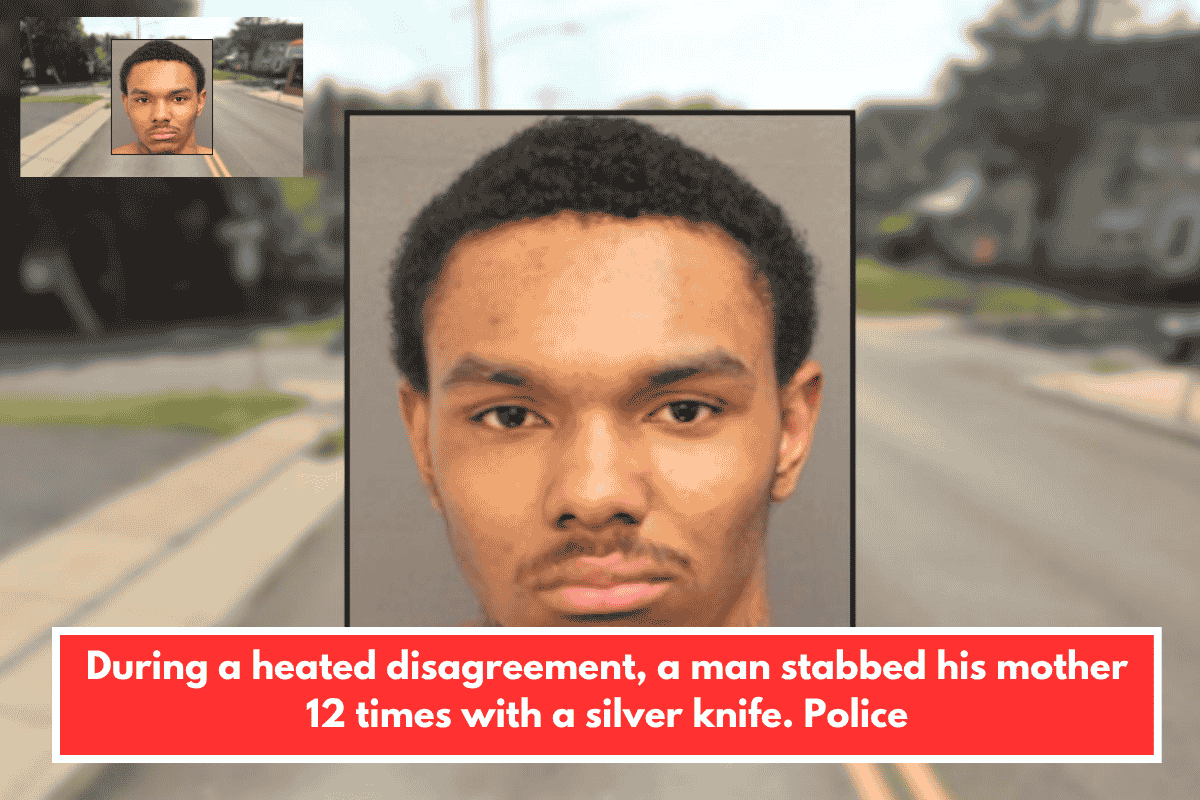 During a heated disagreement, a man stabbed his mother 12 times with a silver knife. Police
