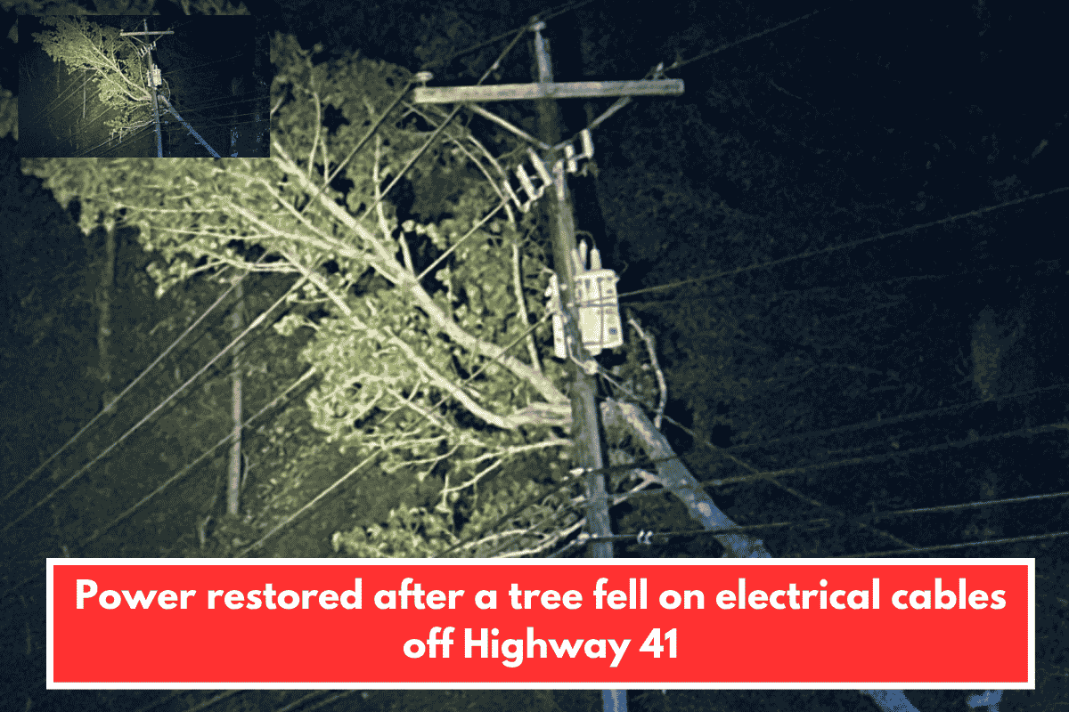 Power restored after a tree fell on electrical cables off Highway 41