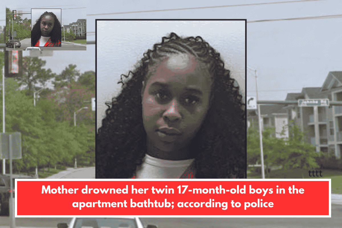 Mother drowned her twin 17-month-old boys in the apartment bathtub; according to police