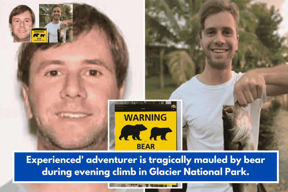 Experienced' adventurer is tragically mauled by bear during evening climb in Glacier National Park.