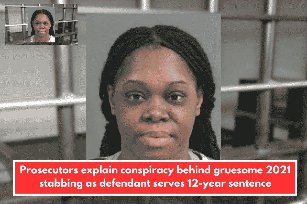 Prosecutors explain conspiracy behind gruesome 2021 stabbing as defendant serves 12-year sentence