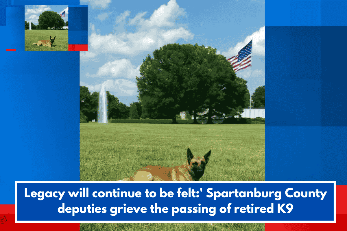 Legacy will continue to be felt:' Spartanburg County deputies grieve the passing of retired K9