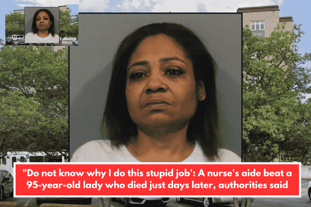 "Do not know why I do this stupid job': A nurse's aide beat a 95-year-old lady who died just days later, authorities said