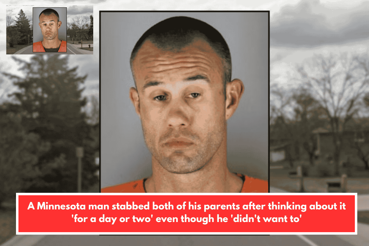 A Minnesota man stabbed both of his parents after thinking about it 'for a day or two' even though he 'didn't want to'