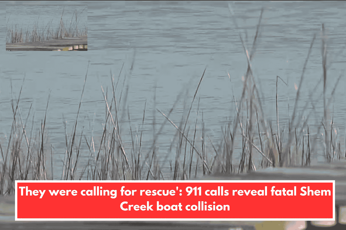 They were calling for rescue': 911 calls reveal fatal Shem Creek boat collision