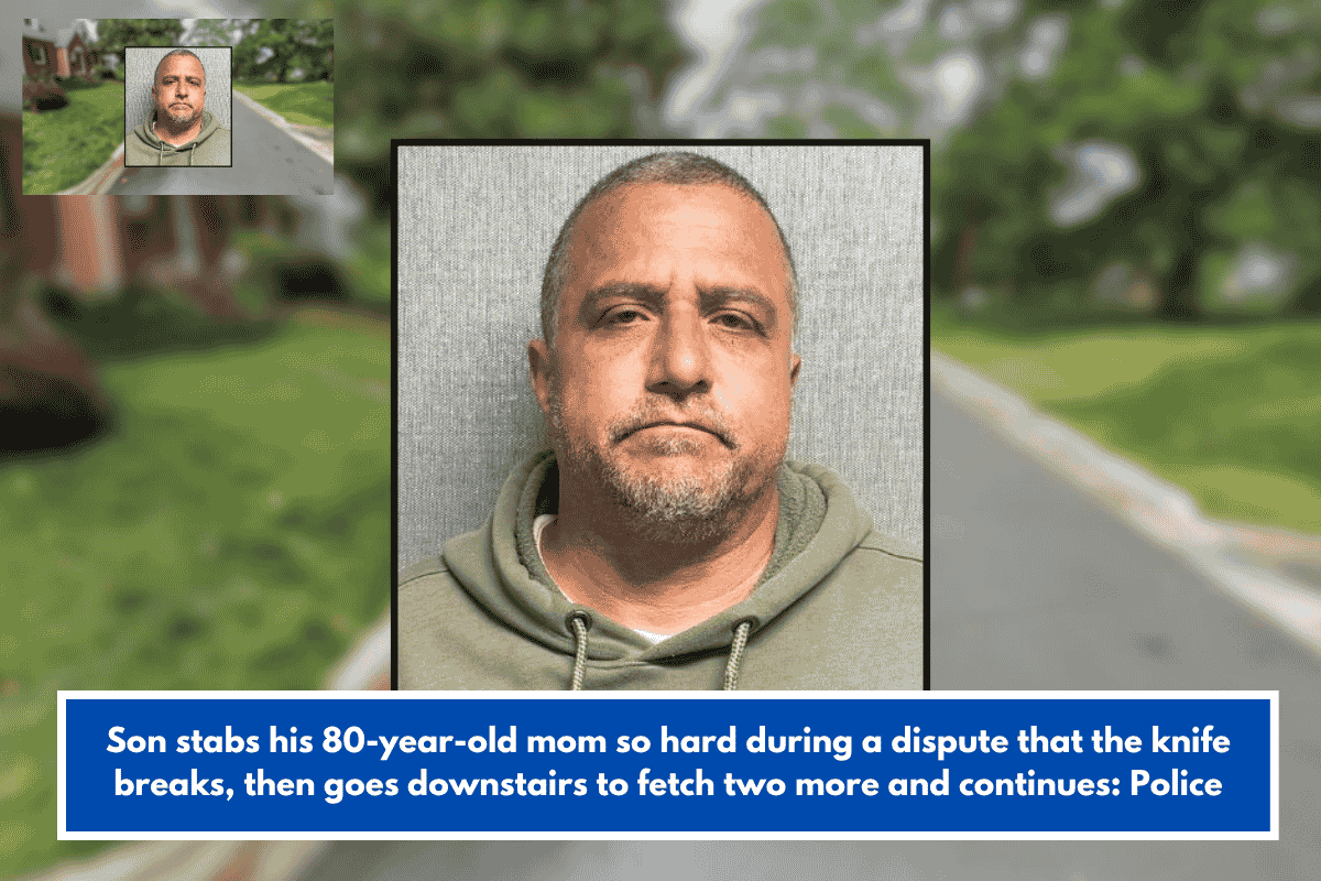 Son stabs his 80-year-old mom so hard during a dispute that the knife breaks, then goes downstairs to fetch two more and continues: Police
