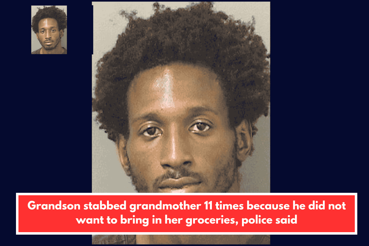 Grandson stabbed grandmother 11 times because he did not want to bring in her groceries, police said