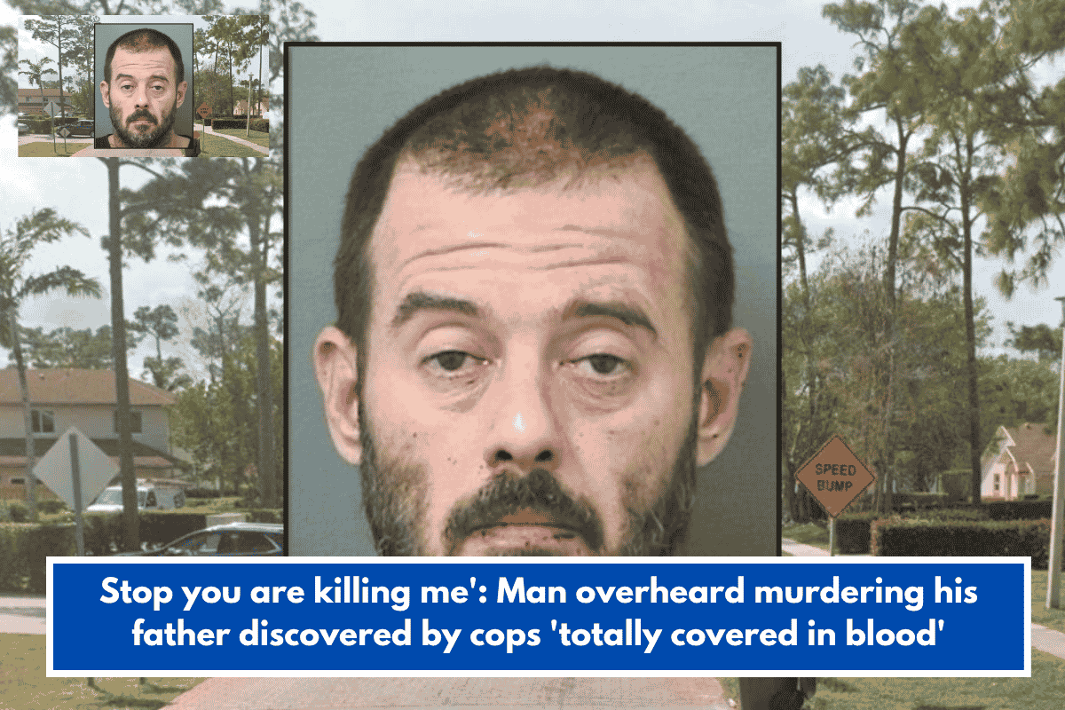 Stop you are killing me': Man overheard murdering his father discovered by cops 'totally covered in blood'