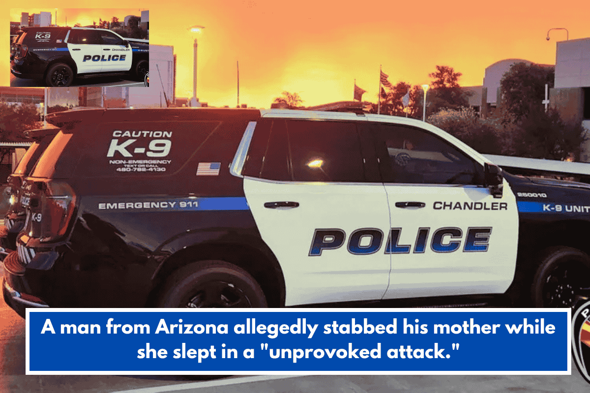 A man from Arizona allegedly stabbed his mother while she slept in a "unprovoked attack."